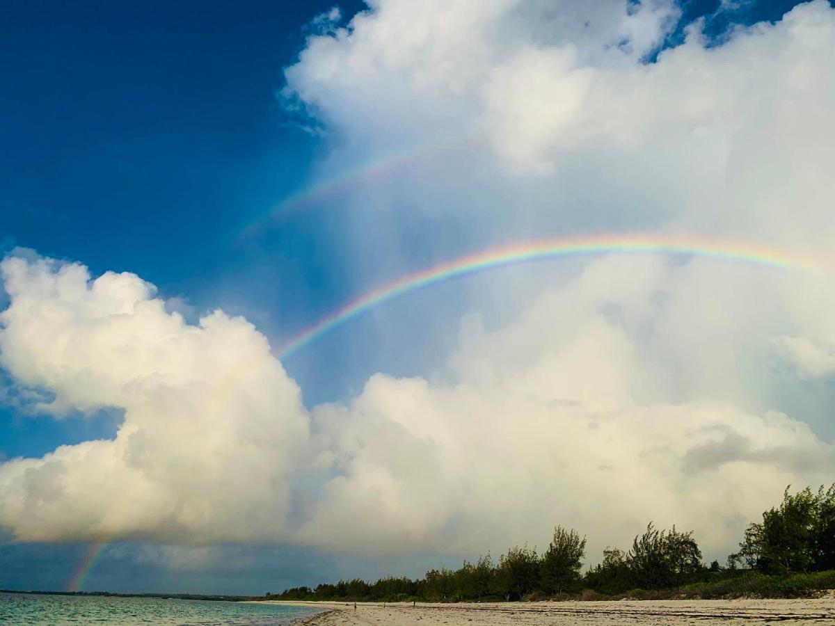 A Rocha Eco-Lodge & Conservation Centre Watamu Exterior foto