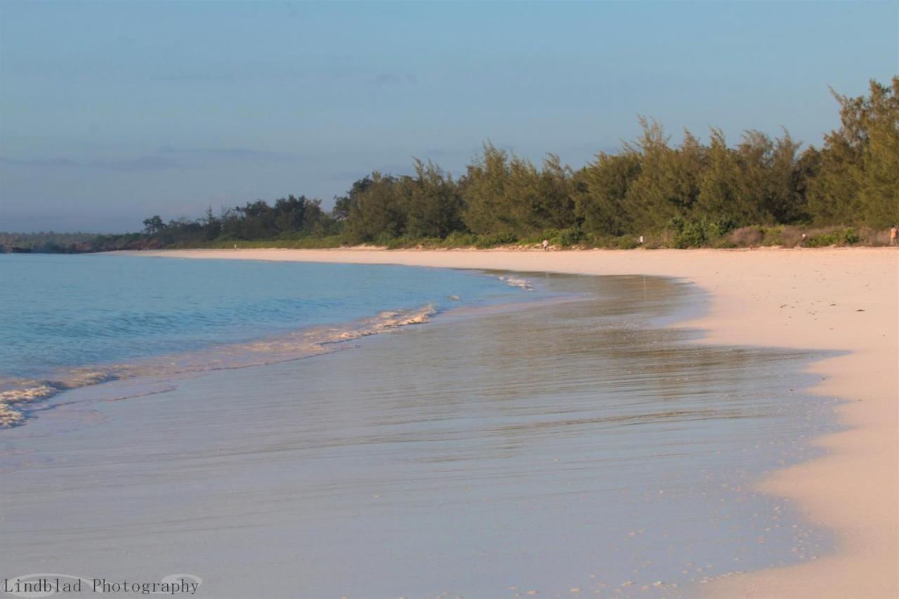 A Rocha Eco-Lodge & Conservation Centre Watamu Exterior foto